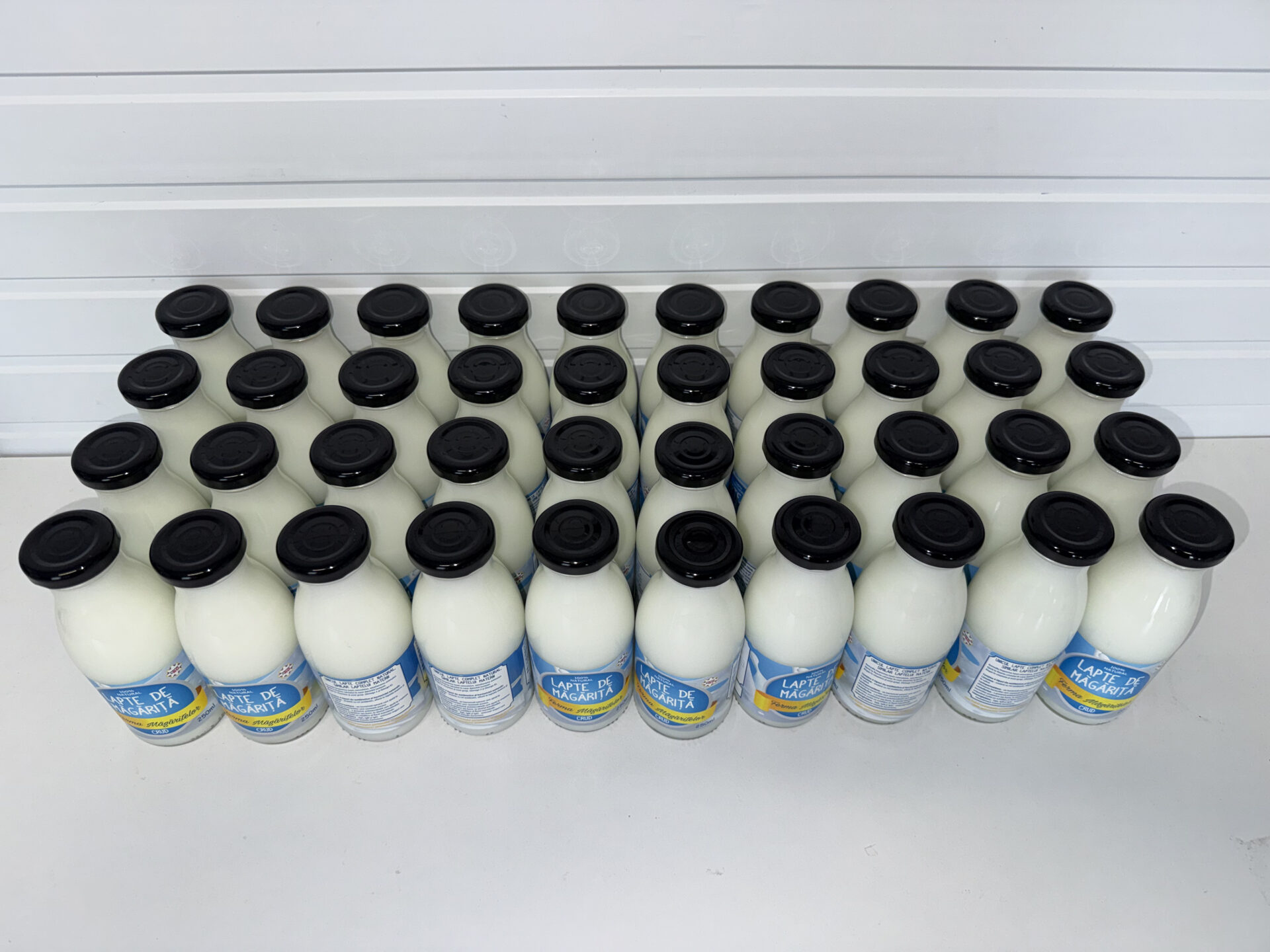 Lapte de măgăriță crud 250 ml – Pachet 10 sticle din sticlă